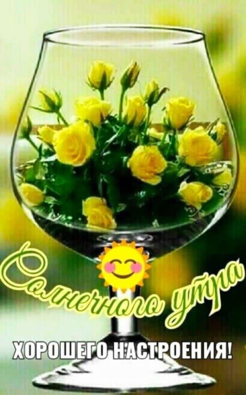 Create meme: wishes of happiness and good morning, happy birthday yellow roses, good morning