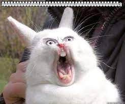 Create meme: evil rabbit, screaming rabbit