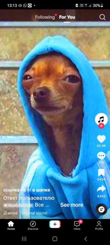 Create meme: dog in the hood, dog in the hood meme, dog snoop dogg in a hood