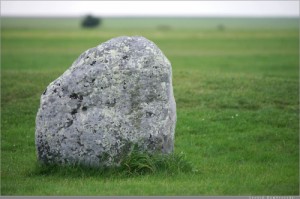 Создать мем: stonehenge, саша камень, на камне