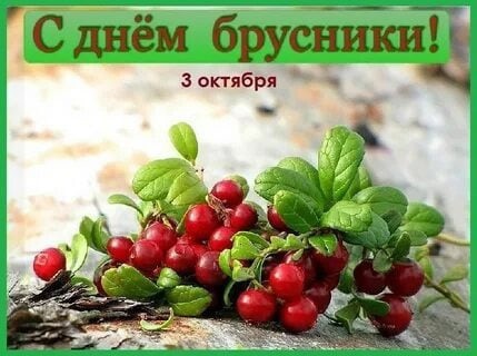 Создать мем: ягоды севера, толокнянка и брусника, день брусники