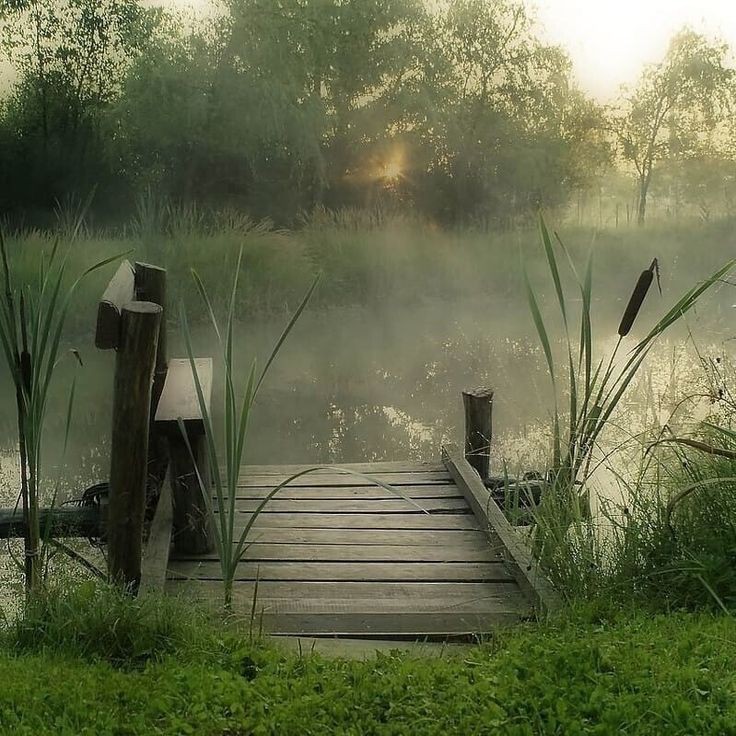 Create meme: Quiet morning landscape, pond river bridge village, landscape with a pond