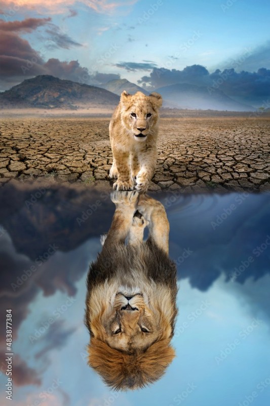 Create meme: the cat in the reflection is a lion, animals lion, A lion cub in the reflection of a lion