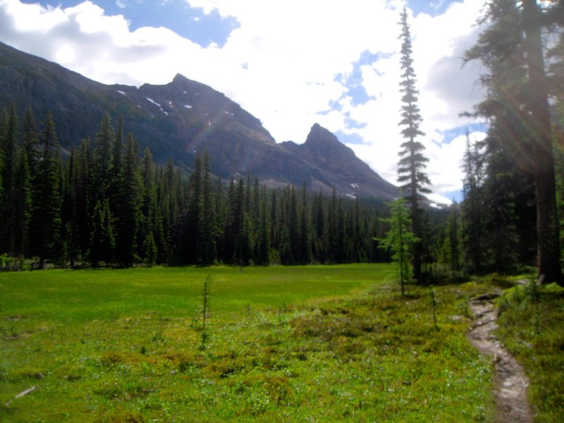 Создать мем: forest, mountain valley, mountain