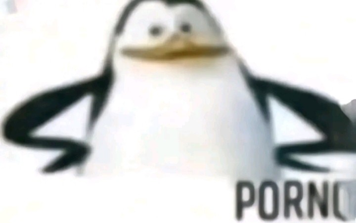 Create meme: meme penguin, chacha with cheese meme penguin, penguin 