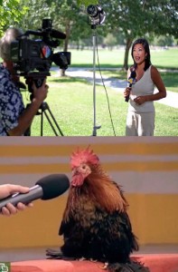 Create meme: meme cock, cock with microphone meme, meme cock fit