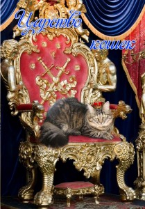 Create meme: the cat king, throne, Royal throne with a crown