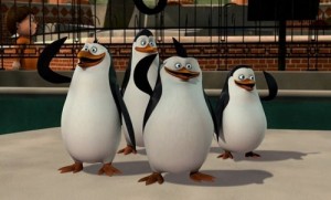 Create meme: the penguins of Madagascar