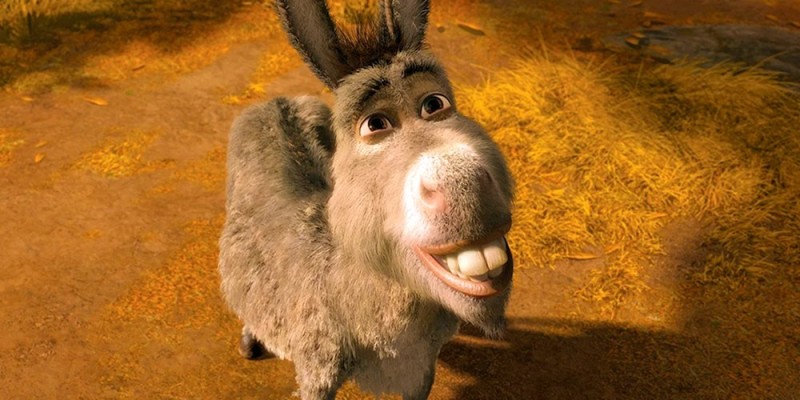 Create meme: donkey Shrek, donkey from Shrek, donkey shrek