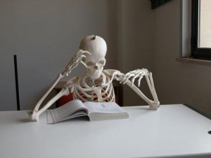 Create meme: skeletons Schipper, read the book skeleton, skeleton student