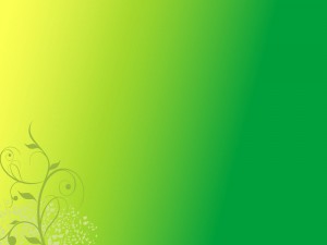 Создать мем: зеленый фон для визитки, green background, фон для меню салатовый