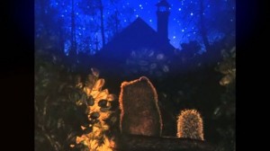 Create meme: hedgehog, bear and hedgehog starry sky, the hedgehog and the bear star