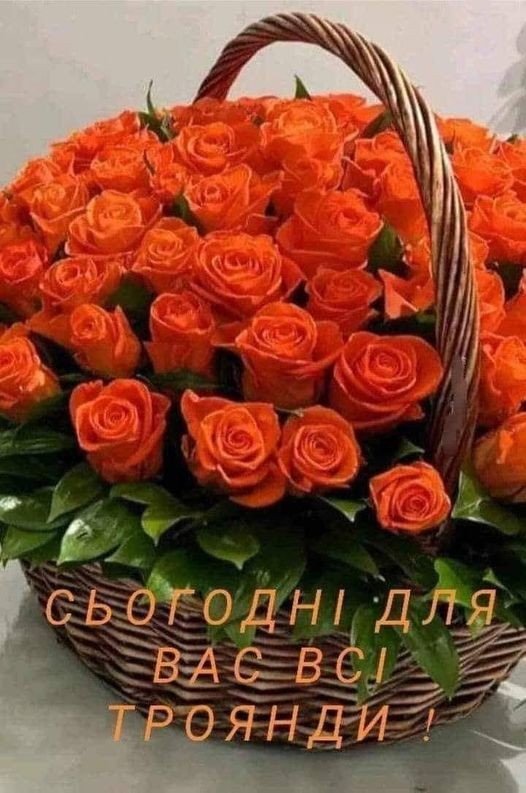 Create meme: flowers, roses in the basket, orange roses