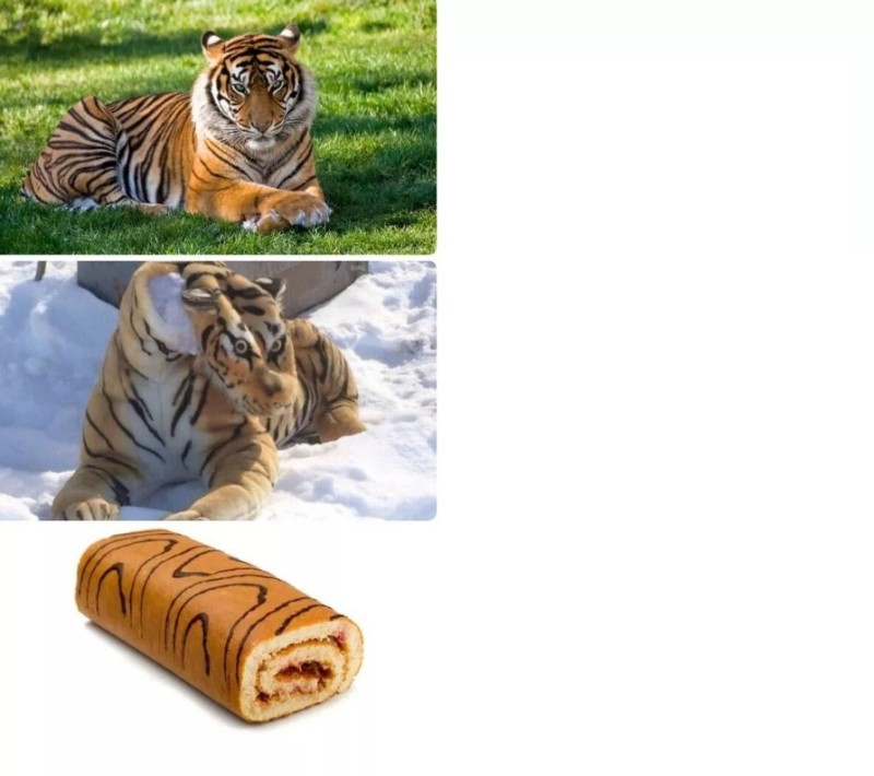 Создать мем: помятый тигр, тигр рулет, мем про тигра и рулет