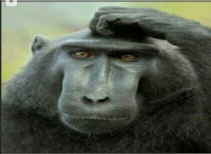 Create meme: monkey, monkey thinks, monkey scratches his head