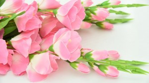 Create meme: flowers tulips, bouquet of pink tulips, beautiful flowers