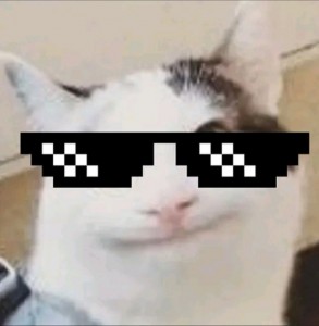 Создать мем: мемы, beluga cat discord meme logo for roblox 2021, beluga discord