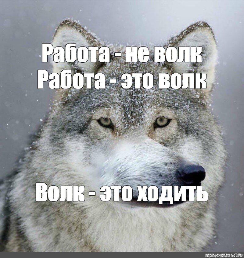 Работа волк