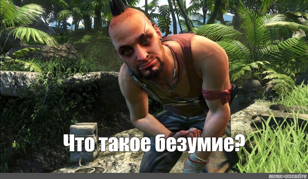 Что такое безумие. Far Cry 6 или нет Мем я. Мем мы разные шаблон из far Cry.