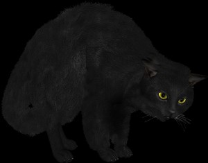 Create meme: antimirov cat world, black cat on a white background, cat animation