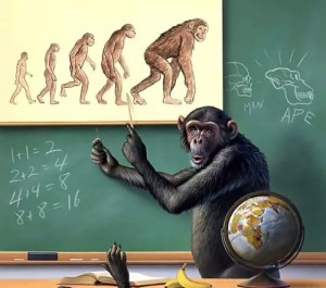 Create meme: the education system, evolution monkey, education
