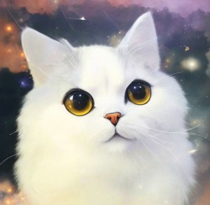Create meme: cute cats, nyashnye seals, cute cat