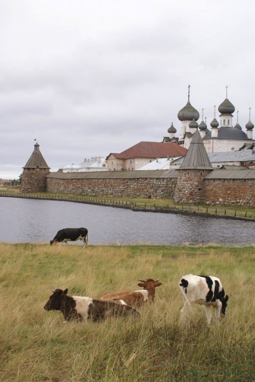 Create meme: solovetskiy monastery, cultural and historic ensemble of the solovetsky islands, The monastery