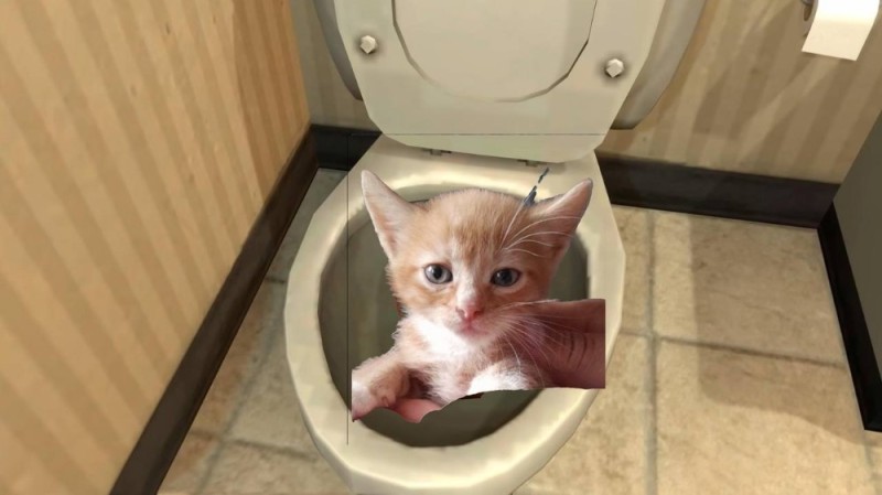 Create meme: skibidi toilet game, cat in the toilet, toilet