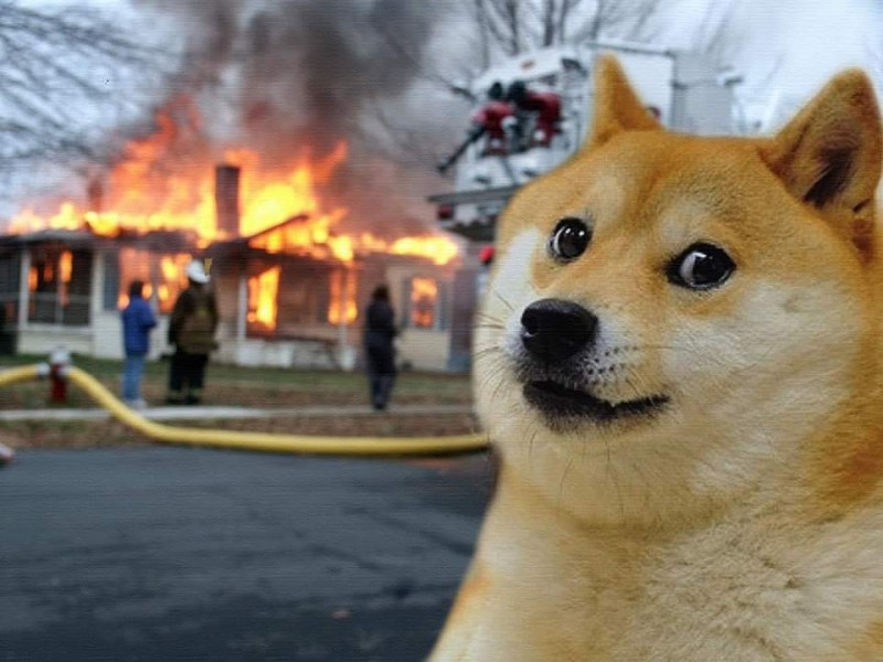 Create meme: doge , doge dog , doge meme 