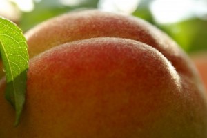 Create meme: peach, ripe peach, Peach