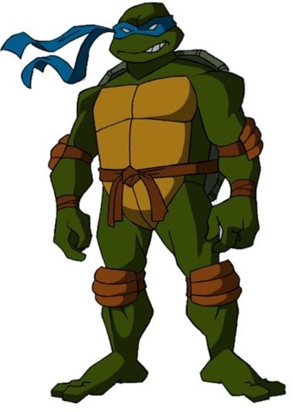 Create meme: Leonardo the teenage mutant ninja turtles, Rafael the teenage mutant ninja turtles, raphael the turtle