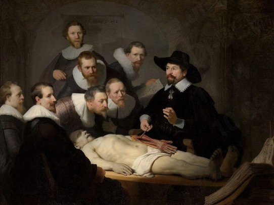 Create meme: Rembrandt The Anatomy of Dr. Tulp, anatomy lesson by Dr. Tulpa Rembrandt, Rembrandt The Anatomy of Dr. Tulp 1632