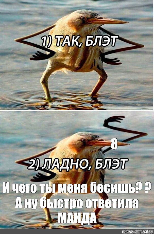 Нас Блед