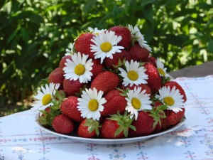 Create meme: pictures of summer berries, pictures of flowers and agodi, daisies and strawberries images