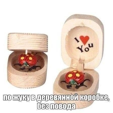 Create meme: wooden box, a beetle in a wooden box valberis, a scarab beetle in a wooden box