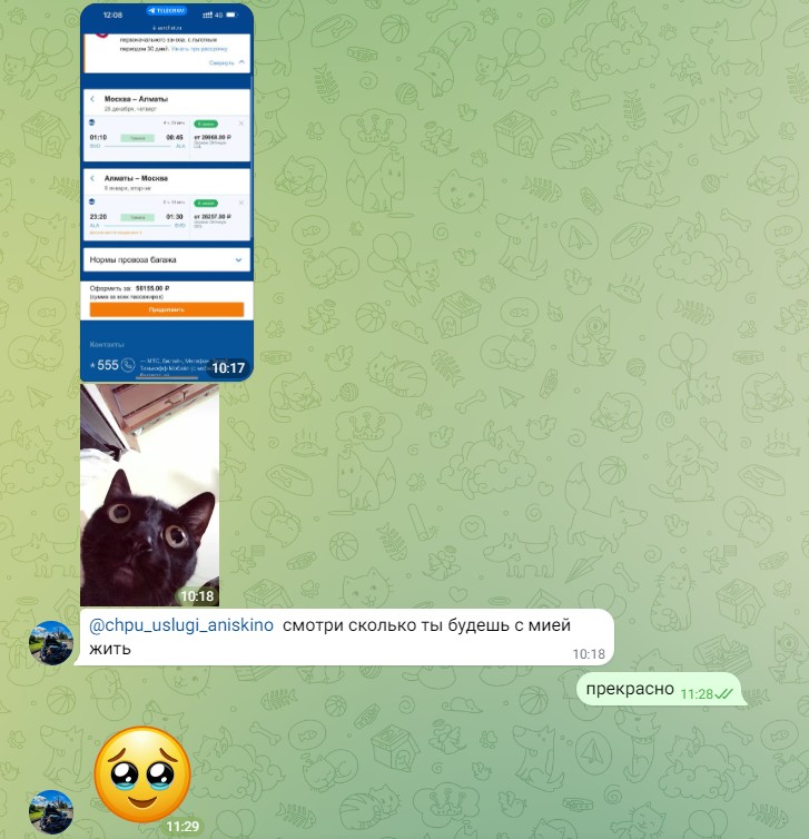 Create meme: funny black cat, vip chat, telegram