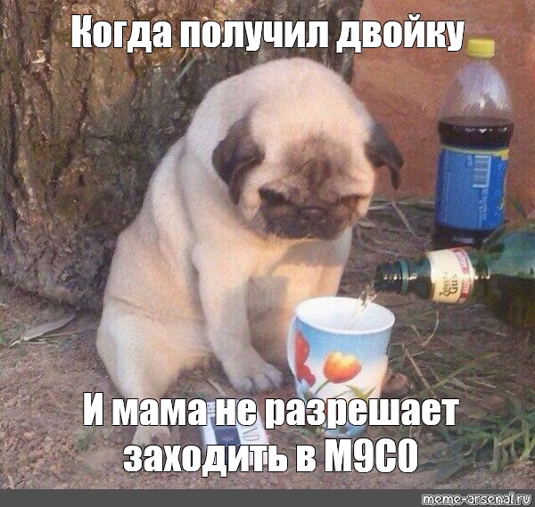 Создать мем: null