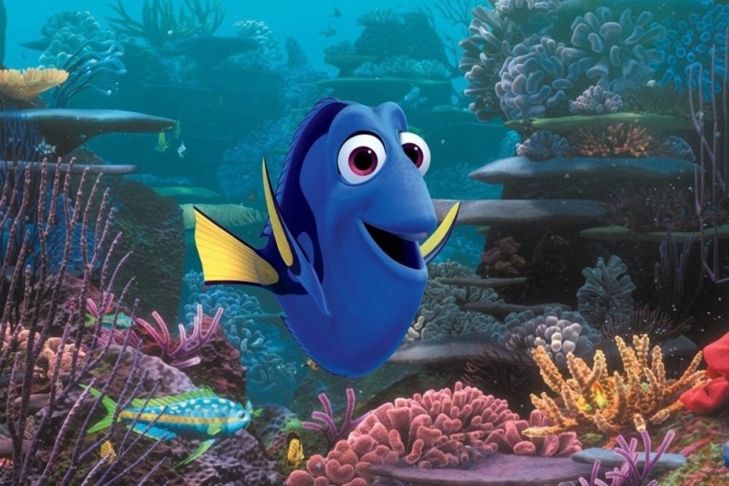 Create meme: nemo, cartoons , fish Dori