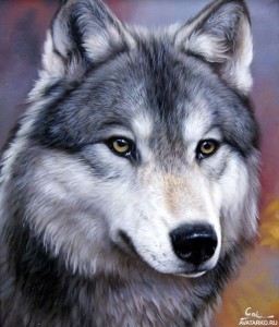 Create meme: wolf, wolf avatar, the picture of the wolf