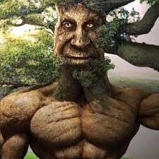 Создать мем: мужчина, человек дерево, природа