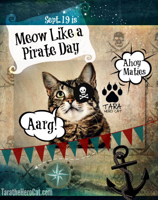 Создать мем: кот пират арт, котик пират, international talk like a pirate day