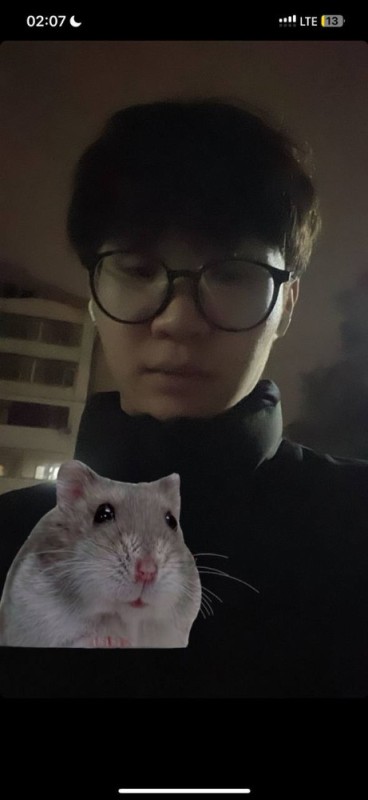 Create meme: rat , big - eared rat, hamster 