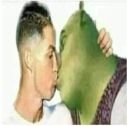 Create meme: kisses, Shrek, face