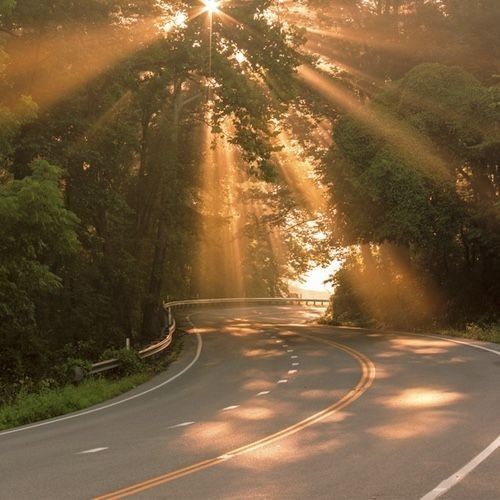 Create meme: nature , the road is beautiful, the dawn road