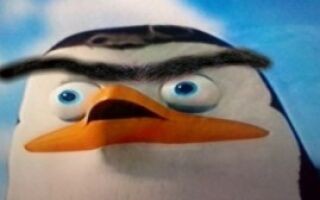 Create meme: penguins from madagascar ordinary meme, penguin soldier, the Madagascar penguins