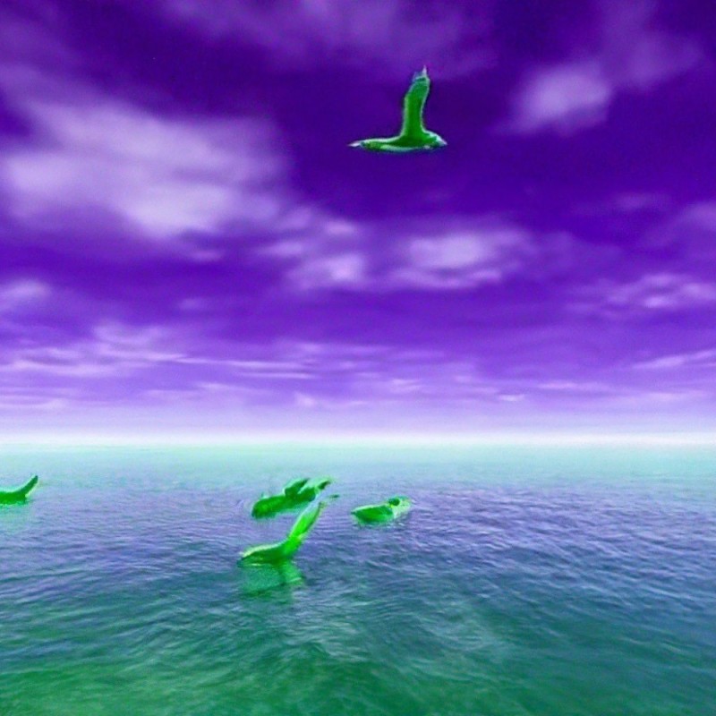 Создать мем: море чайки 3 д, гифки анимированные, picmix