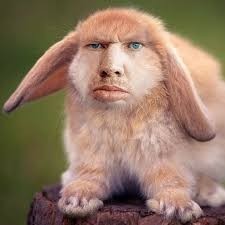 Создать мем: пажилой крол, валакас крол кролик, глад валакас кролик