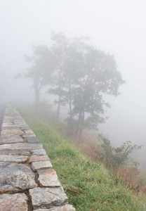 Create meme: nature, fog, fog in the morning