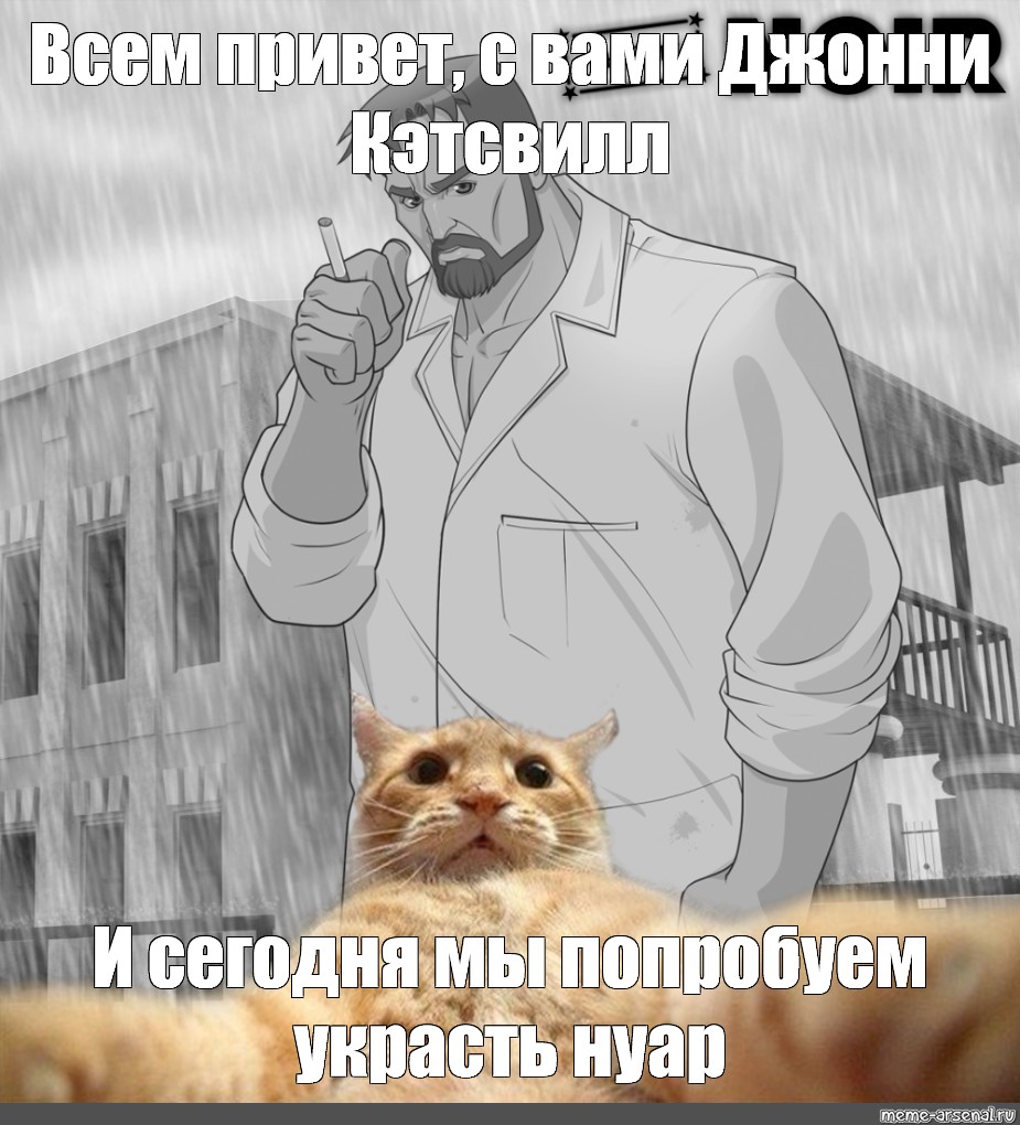 Johnny cat. Джонни кошка.