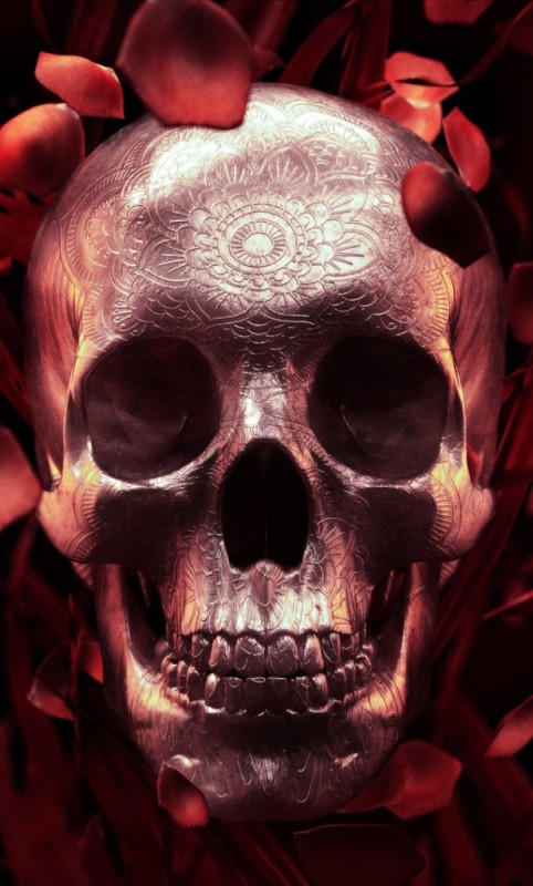 Create meme: the bloody skull, skull scary, skull bones